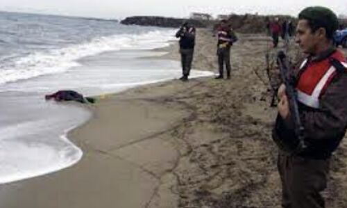 Tragic Discovery: Nine Bodies Wash Ashore on Turkeys Coast, Raising Concerns for Missing Migrants