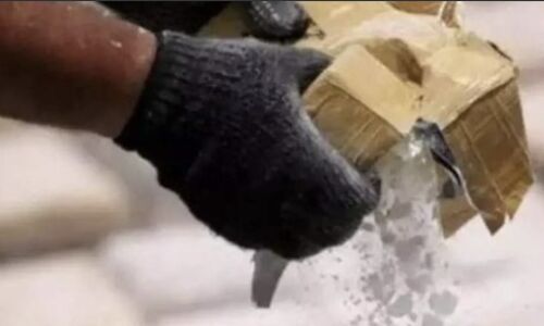 Polands Border Guard Strikes Again: 440 Kilos of Cocaine Seized in Major Drug Bust Polands Border Guard Strikes Again: 440 Kilos of Cocaine Seized in Major Drug Bust