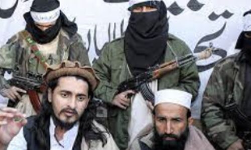 Tehreek-e-Taliban Pakistan Praises Supreme Courts Verdict, Sees Hope for Release of Members Tehreek-e-Taliban Pakistan Praises Supreme Courts Verdict, Sees Hope for Release of Members