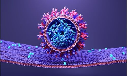 New COVID-19 therapy in Peru shows promise against future variants