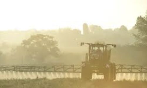 European Commission Proposes 10-Year Renewal of Controversial Herbicide Glyphosate, Drawing Criticism from Environmental Groups