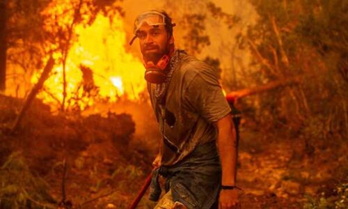 Devastating Fires in Algeria Claim 34 Lives, Leaving Destruction in Their Wake