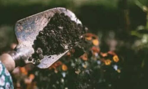 Breaking Ground: Machine Learning Reveals Impact of Microplastics on Soil, Paving the Way for Sustainable Solutions Breaking Ground: Machine Learning Reveals Impact of Microplastics on Soil, Paving the Way for Sustainable Solutions