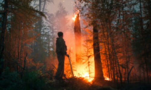 Wildfires Rage in Russias Republic of Sakha