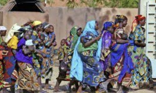 West Africas Food Crisis: Nigers Coup Sparks Disruption in the Onion Supply Chain, Driving Up Prices and Threatening Food Security