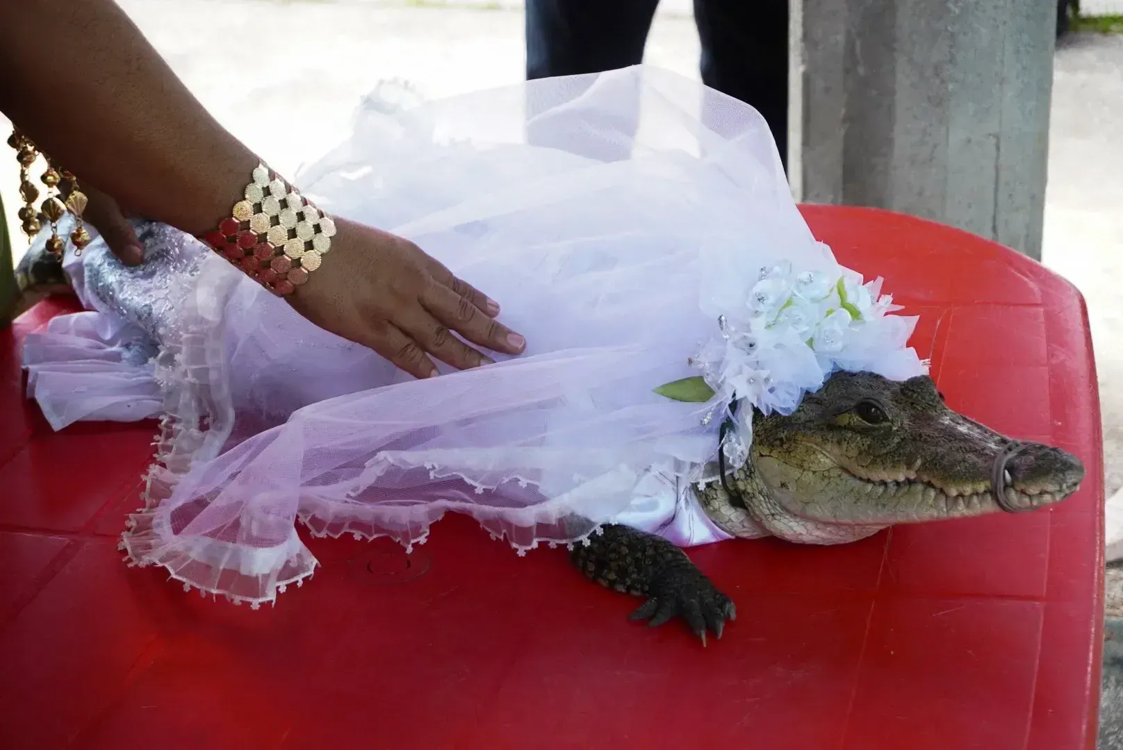 Mayors Unconventional Wedding: A 230-Year-Old Tradition Unites Indigenous Cultures in Mexico Mayors Unconventional Wedding: A 230-Year-Old Tradition Unites Indigenous Cultures in Mexico