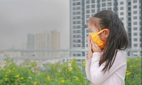 Real Time Mapping is Helping Delhi Clear Up its Air Real Time Mapping is Helping Delhi Clear Up its Air