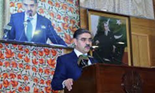 Pakistans PM Slams Indias Supreme Court Decision as Politically Motivated, Reaffirms Support for Kashmir