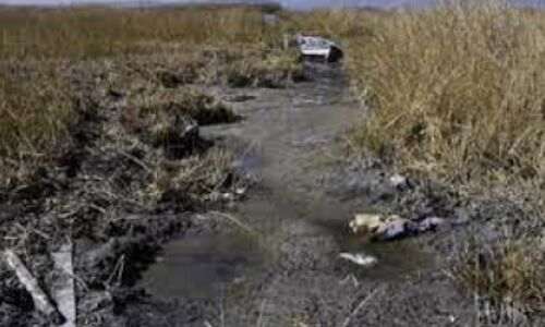 Rising despair as Lake Titicaca reaches dangerously low water levels, highlighting the urgent need for climate action Rising despair as Lake Titicaca reaches dangerously low water levels, highlighting the urgent need for climate action