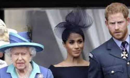 Controversial Biography Endgame Ignites Royal Family Scandal: Translation Error Exposes Senior Royals Racist Remarks