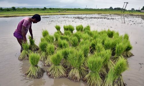The government must tread carefully on economic reform post the elections The government must tread carefully on economic reform post the elections