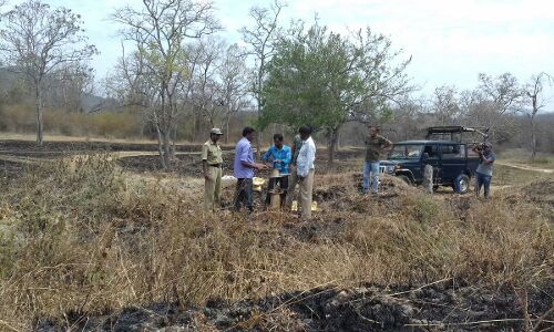 Not a drop to drink: NGO installs solar water pumps for parched wild animals Not a drop to drink: NGO installs solar water pumps for parched wild animals