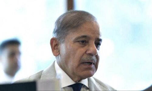 Prime Minister accuses Afghan citizens of supporting Pakistani militants, calls for action against transnational terrorism Prime Minister accuses Afghan citizens of supporting Pakistani militants, calls for action against transnational terrorism