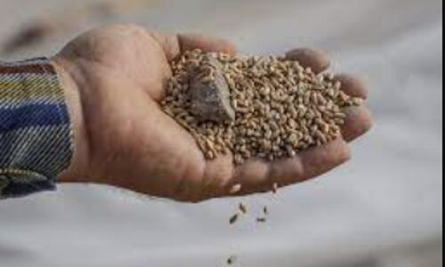 Poland-Ukraine Tensions Soar: Grain Ban Dispute Sparks Warning and Complaint Filing