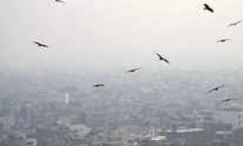 5.3 Magnitude Earthquake Shakes Texas: Residents Rudely Awakened as Tremors Reach 200 Miles 5.3 Magnitude Earthquake Shakes Texas: Residents Rudely Awakened as Tremors Reach 200 Miles