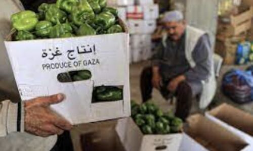 Explosives Discovery Prompts Closure of Gaza Crossing, Leaving Palestinians in Economic Turmoil