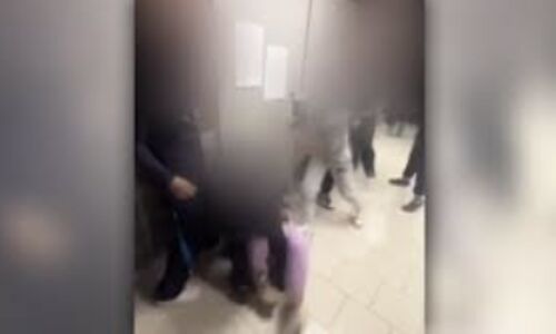 5-Year-Old Girl Found Unharmed After Mothers Murder, Father in Custody 5-Year-Old Girl Found Unharmed After Mothers Murder, Father in Custody