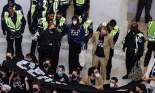 Over 300 Arrested for Illegal Demonstration on Capitol Hill Urging Israel-Hamas Cease-Fire Over 300 Arrested for Illegal Demonstration on Capitol Hill Urging Israel-Hamas Cease-Fire