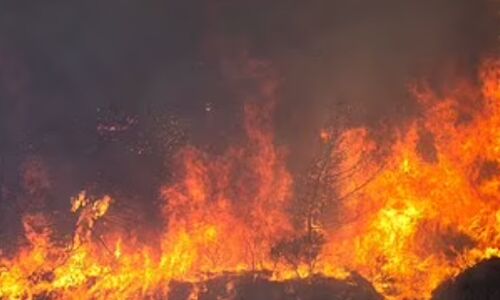 Tragedy Strikes: Greek Air Force Pilots Lose Their Lives Battling Wildfires as Mediterranean Burns