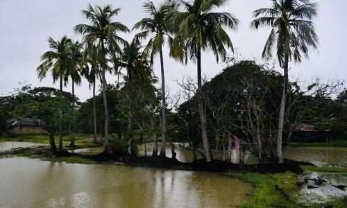Half the Sky at Ghoramara
