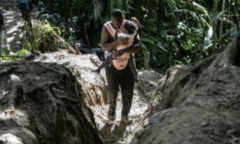 Panama Cracks Down on Rising Migrant Crossings Through Dangerous Darien Gap Jungle