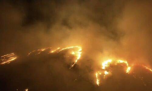 Wildfires in Maui Reach Catastrophic Levels Amid Hurricane Dora, Residents Forced to Flee to Ocean for Survival