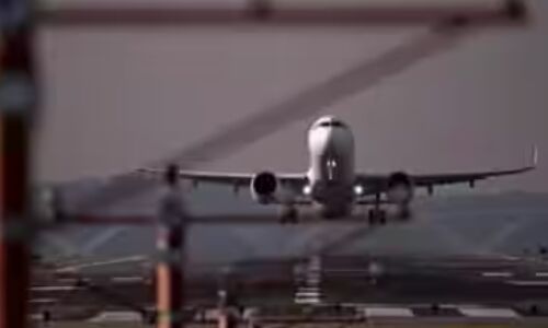 Bear Breakout: Iraqi Airways Faces Scrutiny as Dubai Airport Investigation Unveils Predatory Pet Pandemonium!