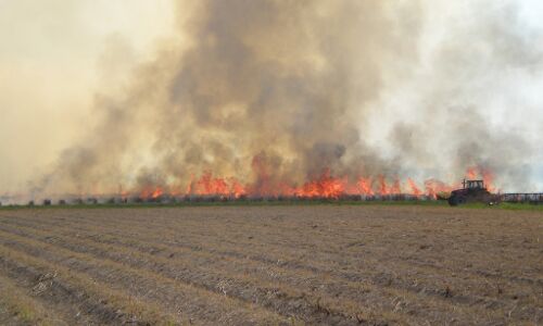 Stubble burning in Punjab: Is there a way ahead? Stubble burning in Punjab: Is there a way ahead?