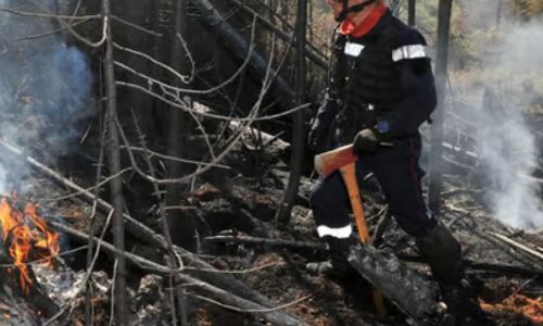 Tragic Loss: Canadian Firefighter Loses Life in Battle Against Unprecedented Wildfires