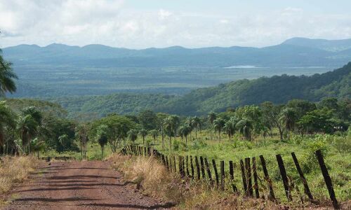 Devastating Wildfires in the Worlds Largest Wetland Come With Global Consequences Devastating Wildfires in the Worlds Largest Wetland Come With Global Consequences