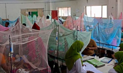 Takedas Dengue Vaccine Receives WHO Pre-qualification Takedas Dengue Vaccine Receives WHO Pre-qualification