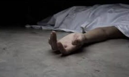 Brain-Eating Amoeba Claims Another Victim: Karachi Urged to Take Precautions to Combat Deadly Infection