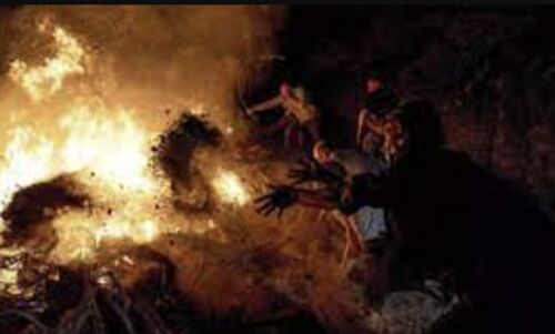 Blazing Fury: Forest Fires Tear Through Turkey, Greece, and Spain, Leaving Devastation and Loss in Their Wake