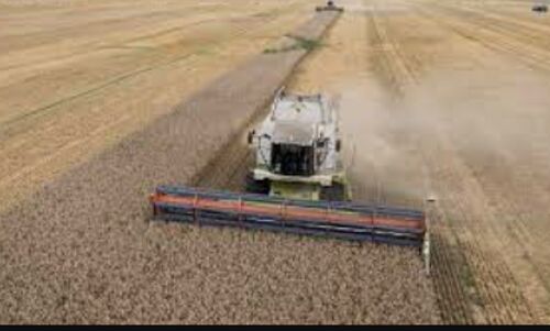 Poland Fights to Protect Farmers: Calls for Extension of Embargo on Ukrainian Grain