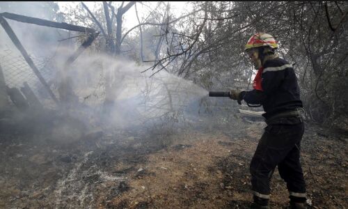 Devastating Wildfires Claim Lives in Algeria as Heatwave Grips Mediterranean, Sparking Climate Change Concerns Devastating Wildfires Claim Lives in Algeria as Heatwave Grips Mediterranean, Sparking Climate Change Concerns
