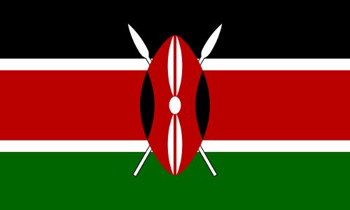 Horrific Road Accident Claims 48 Lives in Western Kenya