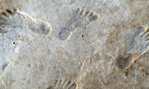New Research Challenges Timeline of Human Arrival in Americas: Footprints Reveal Surprising 23,000-Year-Old Discovery New Research Challenges Timeline of Human Arrival in Americas: Footprints Reveal Surprising 23,000-Year-Old Discovery