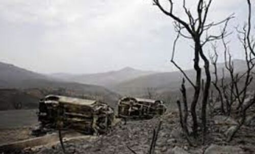 Devastating Wildfires Ravage Algeria: Lives Lost, Homes Destroyed, and Communities Displaced