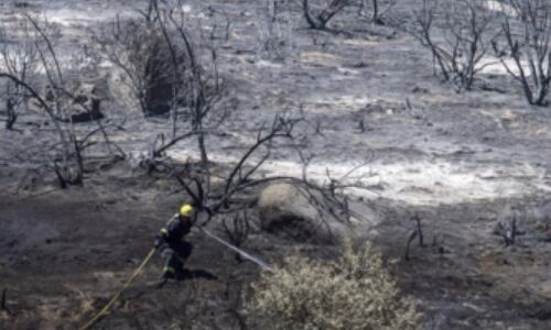 300+ Firefighters Battle Blaze Threatening Cape Town Neighborhood 300+ Firefighters Battle Blaze Threatening Cape Town Neighborhood