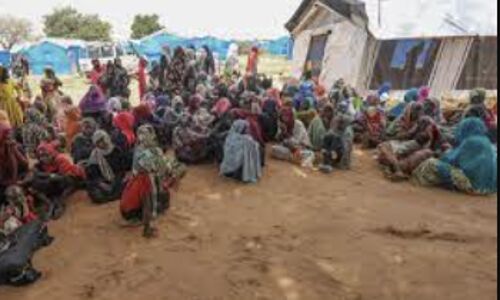 Pakistans Mistreatment of Afghan Refugees: Calls for Action Grow Amid Growing Tensions