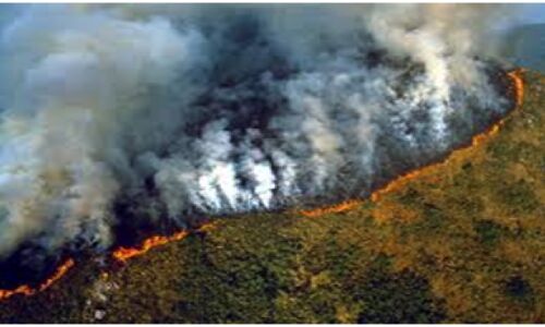 Amazon is burning!!! An alarming call to preserve the green lap