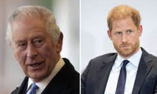 Endgame: Explosive Book Exposes Tense Feud Between King Charles and Prince Harry