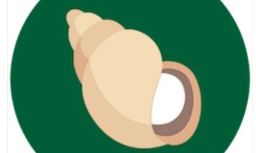 Patanjali app Kimbho disappears from Google playstore after launch