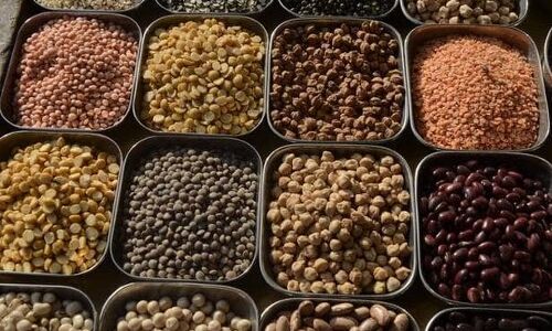 Agri-tech startup WayCool raises Rs 120 cr