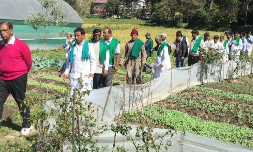 One for all and all for one: How farmer producer organisations are transforming Indias agritech sector