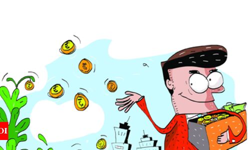 2018: The year Indian startups reached ‘adulthood’ - Times of India