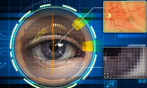 Agri-tech, KYC, design: how these entrepreneurs showcase the importance of precision, positioning, and partnerships