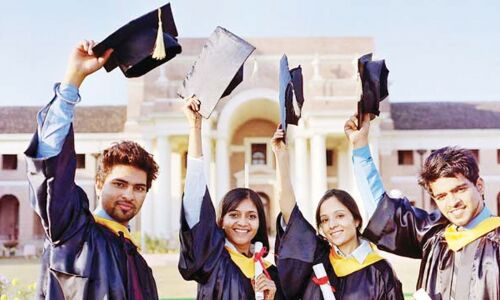 Education consultants make hay as business booms