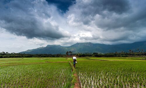 5 Noteworthy AI And IoT Startups That Are Providing Smart Solutions To Indian Farmers
