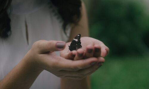 Investing in news media (podcast); insect feed; transforming energy access; immigrant entrepreneurs; Luminate, Kapor and Emerson are hiring